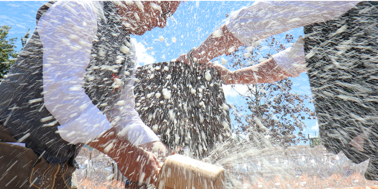 Presse Miniaturansicht