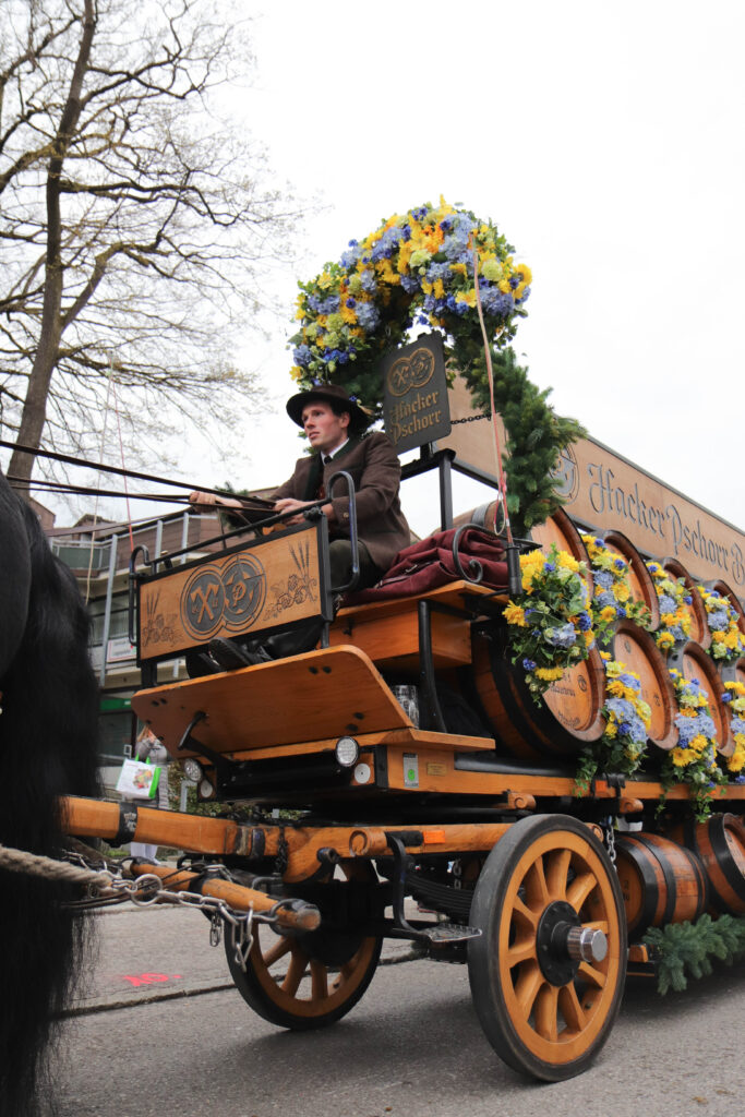 Das mit blumengeschmückte Pferdegespann von der Brauerei Hacker-Pschorr an der Spitze des Festzuges
